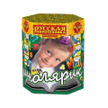 Ростов-на-Дону Батареи салютов до 25 залпов РП доставка сегодня Батареи салютов до 25 залпов РП Ростов-на-Дону